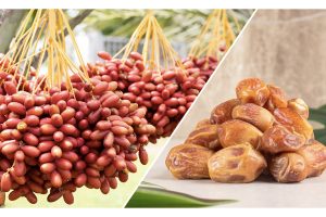 Unraveling the World of Medjool Dates Where to Buy Them Near You